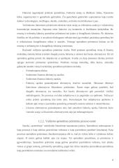 Sprendimo priėmimas organizacijos valdyme 6 puslapis