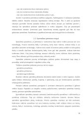 Sprendimo priėmimas organizacijos valdyme 10 puslapis