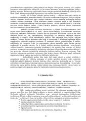Statybos kaip specifinės verslo srities ypatumai 13 puslapis