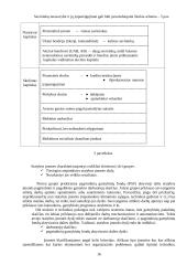 Statybos kaip specifinės verslo srities ypatumai 14 puslapis