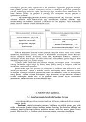 Statybos kaip specifinės verslo srities ypatumai 15 puslapis