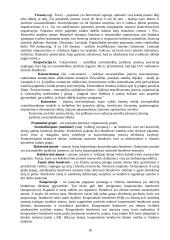 Statybos kaip specifinės verslo srities ypatumai 16 puslapis