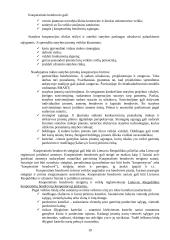 Statybos kaip specifinės verslo srities ypatumai 17 puslapis