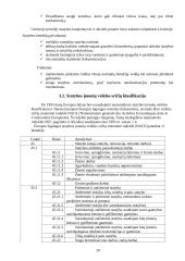 Statybos kaip specifinės verslo srities ypatumai 18 puslapis