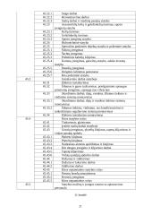 Statybos kaip specifinės verslo srities ypatumai 19 puslapis