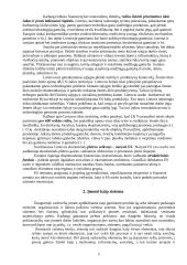 Statybos kaip specifinės verslo srities ypatumai 3 puslapis