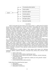 Statybos kaip specifinės verslo srities ypatumai 6 puslapis