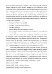 Statybos verslo organizavimo formos 13 puslapis