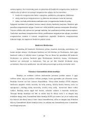 Statybos verslo organizavimo formos 16 puslapis