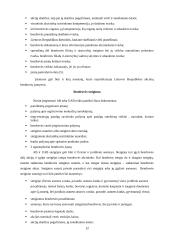 Statybos verslo organizavimo formos 10 puslapis