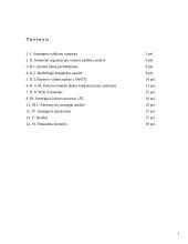 Strateginis Lietuvos energetikos valdymas 1 puslapis