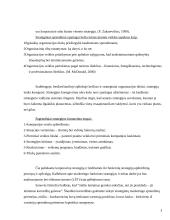 Strateginis Lietuvos energetikos valdymas 3 puslapis