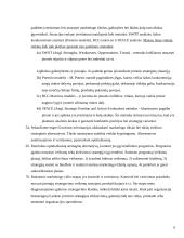 Strateginis Lietuvos energetikos valdymas 6 puslapis