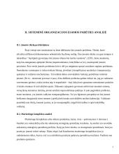 Strateginis Lietuvos energetikos valdymas 7 puslapis