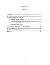 Studijų ir darbo derinimo tyrimas 2 puslapis