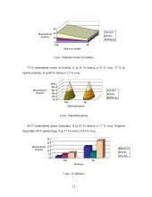 Studijų ir darbo derinimo tyrimas 12 puslapis