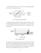 Studijų ir darbo derinimo tyrimas 13 puslapis