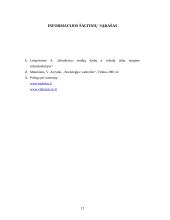 Studijų ir darbo derinimo tyrimas 17 puslapis