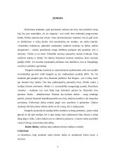 Studijų ir darbo derinimo tyrimas 3 puslapis