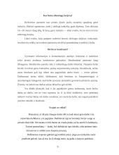 Studijų ir darbo derinimo tyrimas 9 puslapis