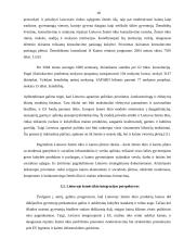 Svarbiausios eurointegracijos problemos ir sprendimo būdai 18 puslapis