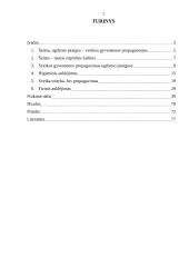 Sveiko gyvenimo būdo propagavimas jaunesniame mokykliniame amžiuje 2 puslapis