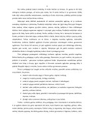 Sveiko gyvenimo būdo propagavimas jaunesniame mokykliniame amžiuje 6 puslapis