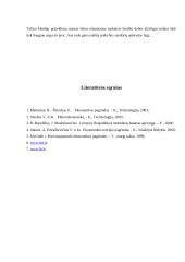 Šalies mokėjimų balansas ir jį lemiantys veiksniai 19 puslapis