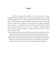 Šalies mokėjimų balansas ir jį lemiantys veiksniai 4 puslapis