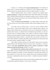 Šalies mokėjimų balansas ir jį lemiantys veiksniai 8 puslapis