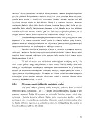 Šalies resursai ir jų panaudojimo efektyvumo įtakos verslui modelis 11 puslapis