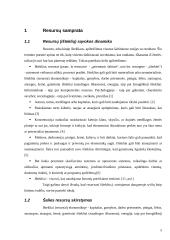 Šalies resursai ir jų panaudojimo efektyvumo įtakos verslui modelis 5 puslapis