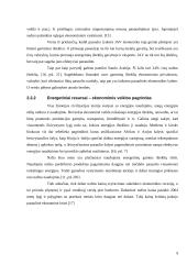 Šalies resursai ir jų panaudojimo efektyvumo įtakos verslui modelis 9 puslapis