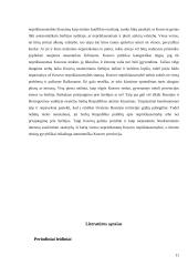 Šių dienų etniniai konfliktai - Kosovas 11 puslapis