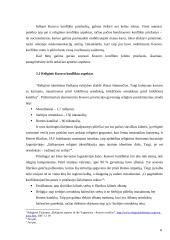 Šių dienų etniniai konfliktai - Kosovas 6 puslapis