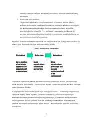 Tarporganizaciniai ryšiai 11 puslapis