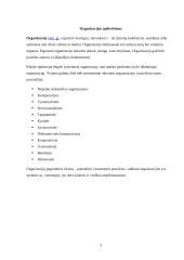 Tarporganizaciniai ryšiai 3 puslapis