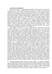 Tarptautinė apskaita. Lietuvos ir Vengrijos apskaitos palyginimas 4 puslapis