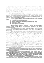 Tarptautinė apskaita. Lietuvos ir Vengrijos apskaitos palyginimas 5 puslapis