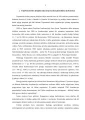 Tarptautinė darbo organizacija ir jos funkcijos 4 puslapis
