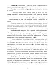 Tarptautinė finansų rinka 11 puslapis