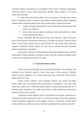 Tarptautinė finansų rinka 7 puslapis