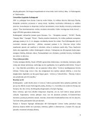 Tarptautinė prekyba. Lietuvos narystė Europos Sąjungoje (ES) ir prekyba su Rusija 8 puslapis
