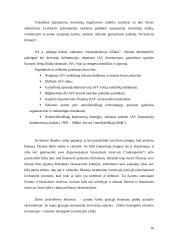 Tarptautiniai ekonominiai santykiai: samprata, struktūra ir probleminės sritys 16 puslapis