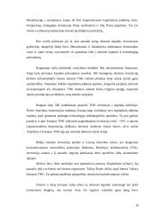 Tarptautiniai ekonominiai santykiai: samprata, struktūra ir probleminės sritys 19 puslapis