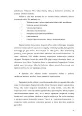 Tarptautiniai ekonominiai santykiai: samprata, struktūra ir probleminės sritys 20 puslapis