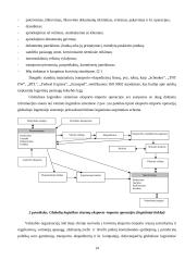 Tarptautiniais maršrutais gabenamiems kroviniams įtakojančių aplinkos veiksnių tyrimas 13 puslapis