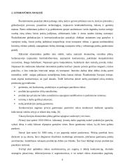 Tarptautiniais maršrutais gabenamiems kroviniams įtakojančių aplinkos veiksnių tyrimas 8 puslapis