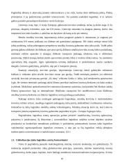 Tarptautiniais maršrutais gabenamiems kroviniams įtakojančių aplinkos veiksnių tyrimas 9 puslapis