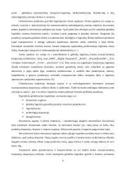 Tarptautiniais maršrutais gabenamiems kroviniams įtakojančių aplinkos veiksnių tyrimas 10 puslapis